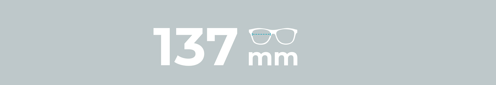 Sunglasses 137mm Lens