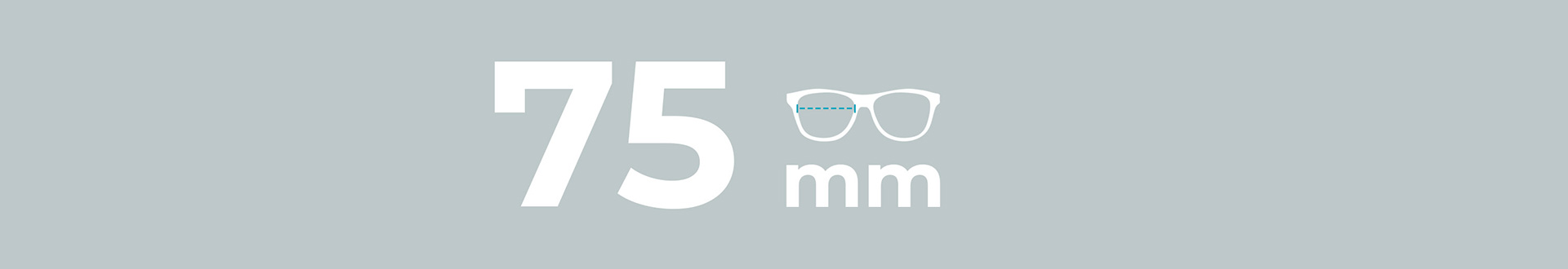 Sunglasses 75mm Lens