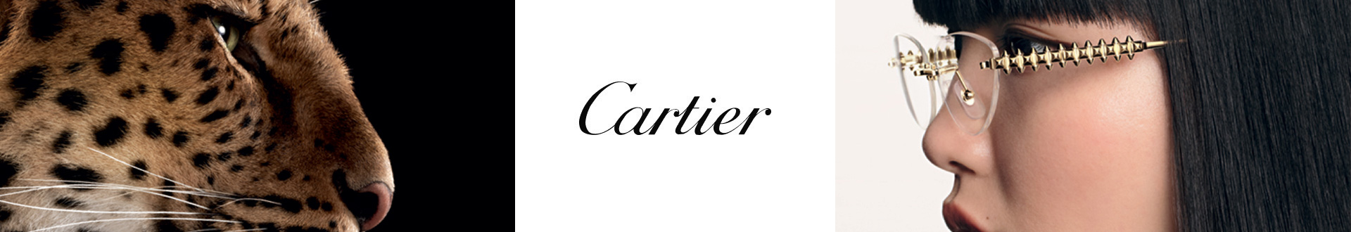 Cartier Glasses and Eyewear