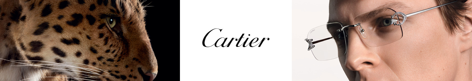 Cartier Eyeglasses & Frames