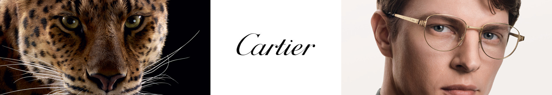 Cartier Eyeglasses & Frames for Men