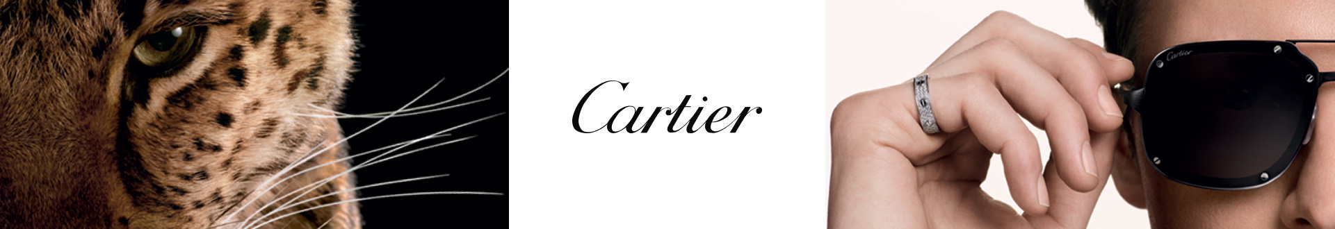 Cartier Sunglasses for Men