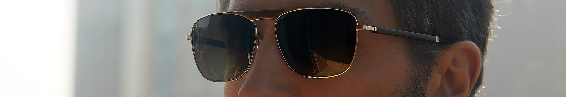 Gold & Wood Sunglasses for Men