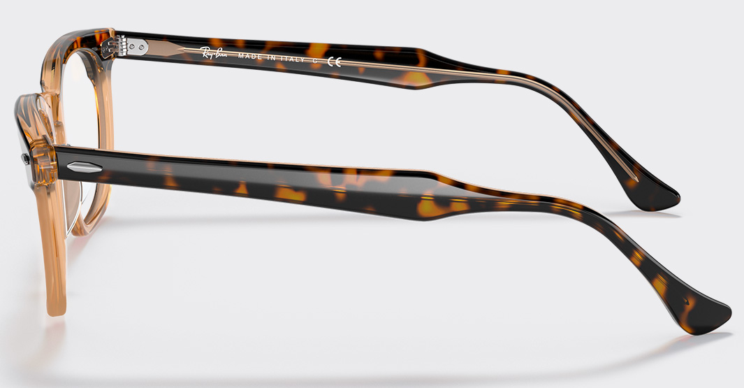 Ray-Ban Hawkeye Eyewear Collection