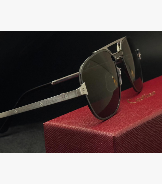 Cartier CT0477S Santos de Cartier