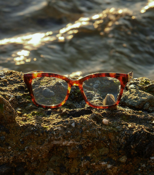 Optical Frame Barton Perreira Bridges