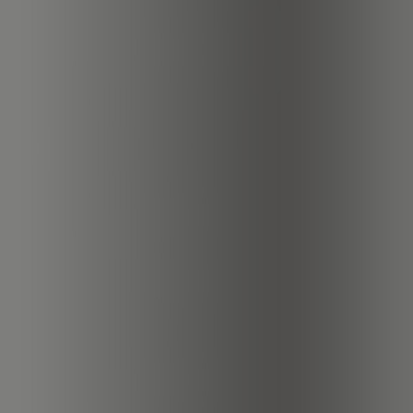 Brushed Silver/Black Rhodium/Black Enamel / Dark Gray AR