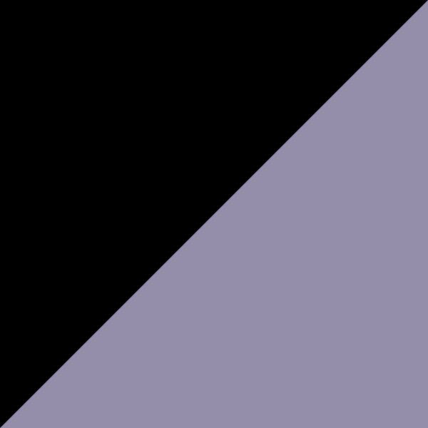 Black/Violet 05