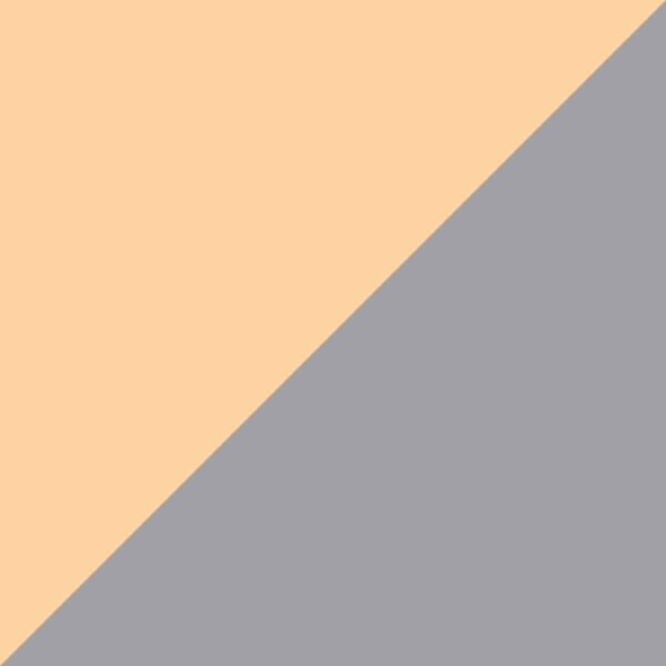 Gold/Gray 07