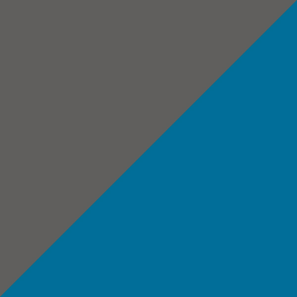 Gray/Teal 03