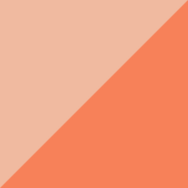Rosegold/Orange 04