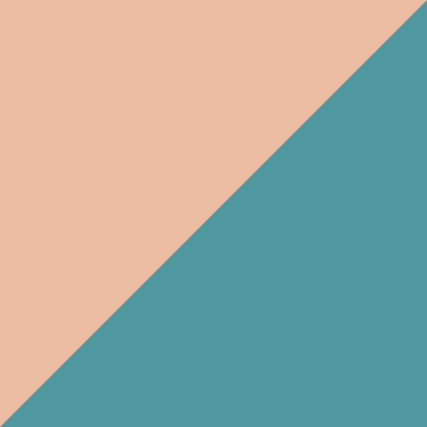 Rosegold/Teal