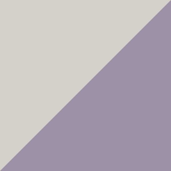 Silver/Violet C