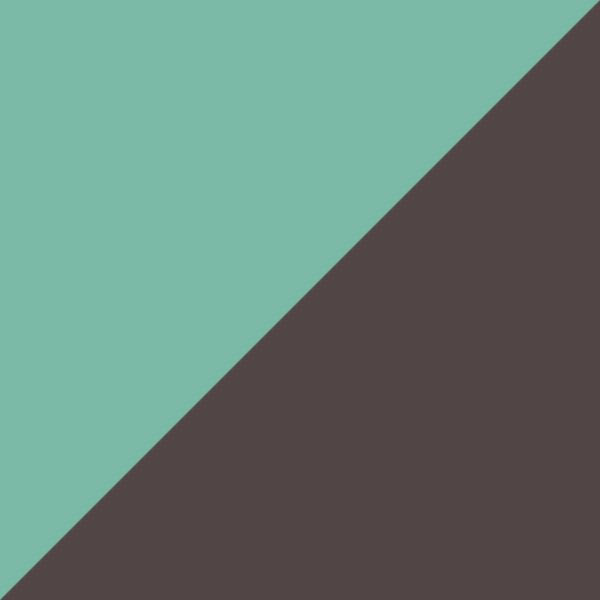 Teal/Brown