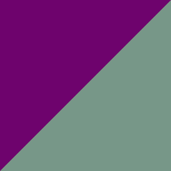 Violet/Green 04