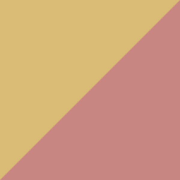 Yellow/Pink 04