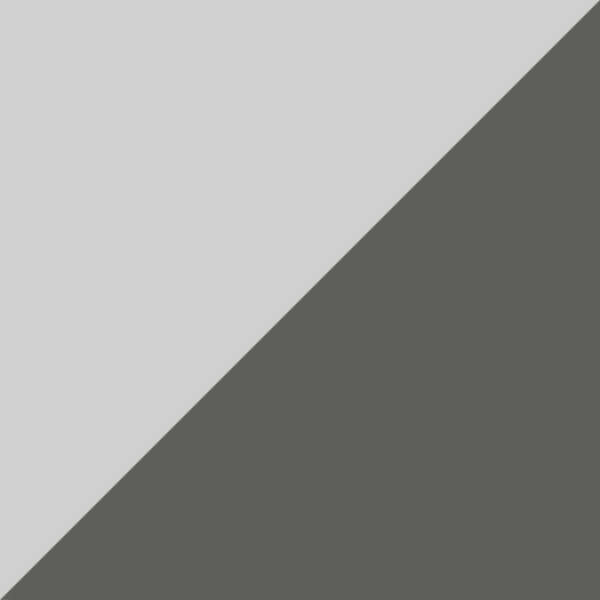 Gray/Silver C07