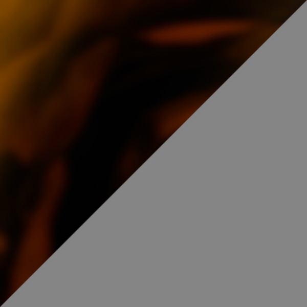 Yellow Tortoise/Silver C09