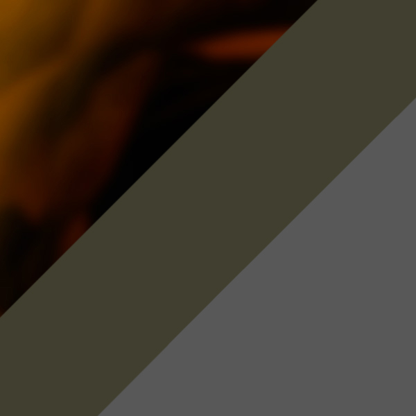 Tortoise Graded Green/Silver C13