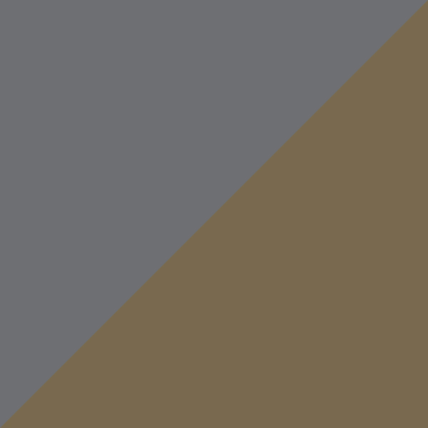 Gray/Copper C26
