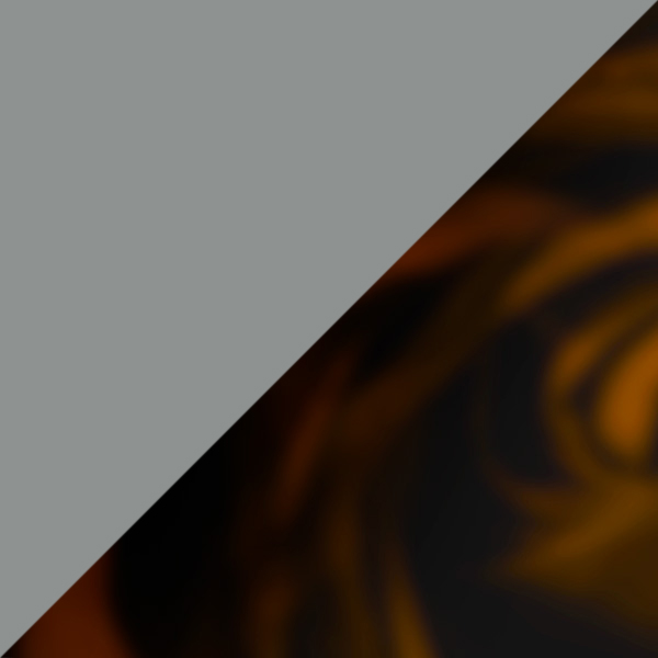 Matte Gray/Black C31