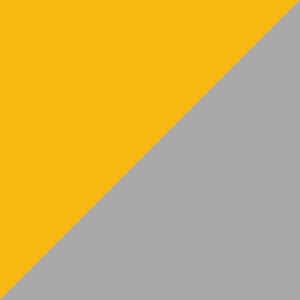 Yellow/Silver C35