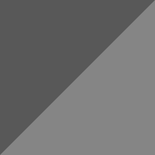 Dark Gray/Silver C39