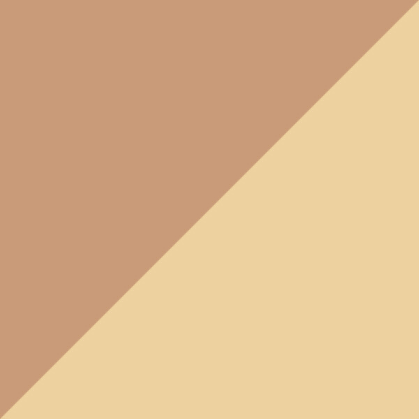 Copper/Gold / Transparent AR