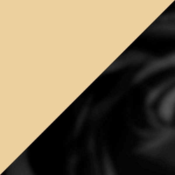 Gold/Black / Transparent