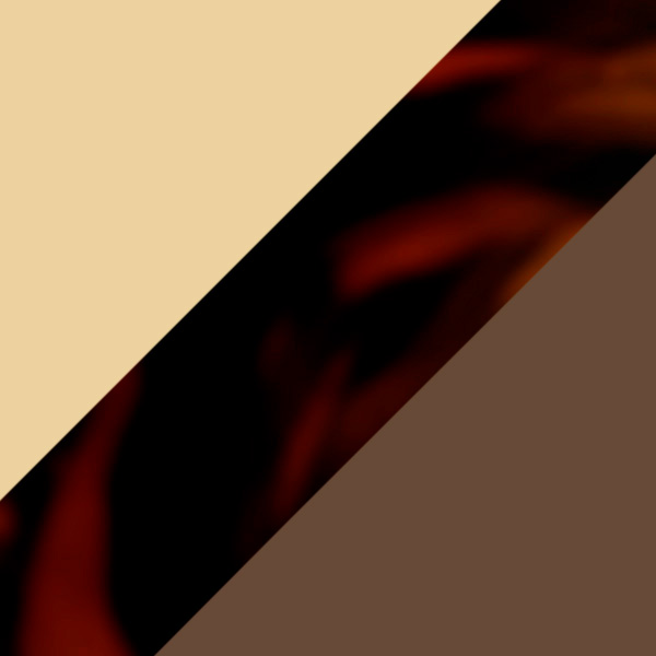 Gold/Havana / Brown AR