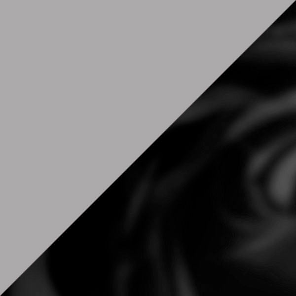 Silver/Black / Transparent