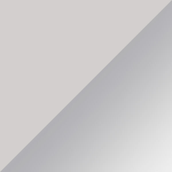 Silver / Silver Mirrored