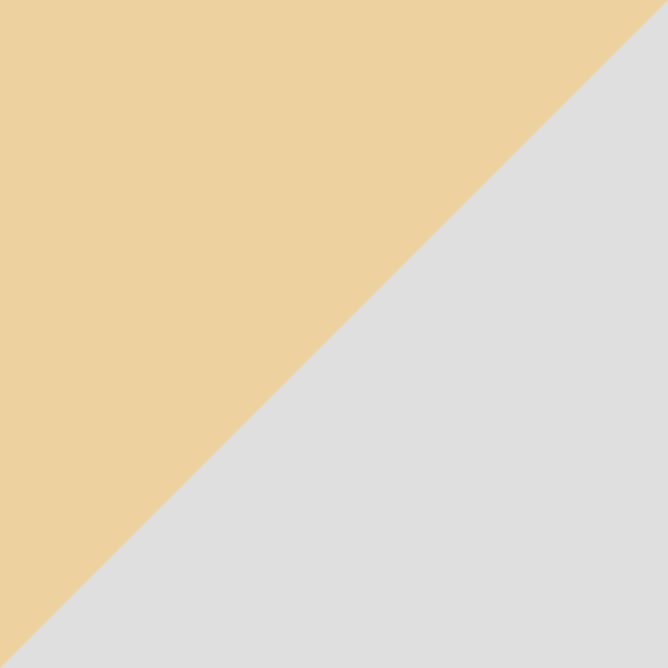 Gold/White / Transparent AR