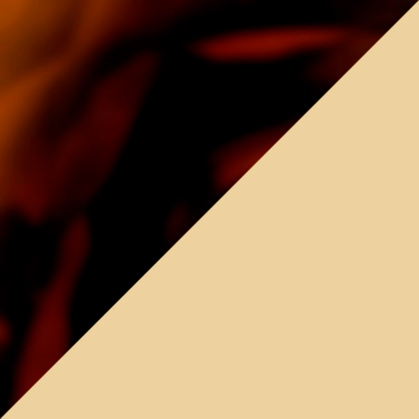 Havana/Gold / Transparent AR 003