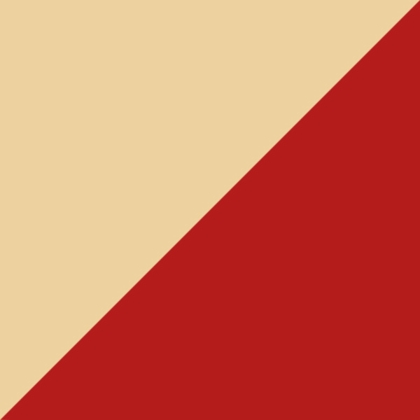 Gold/Red / Transparent AR