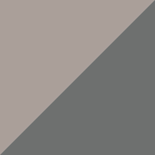 Gunmetal / Gray AR Polarized