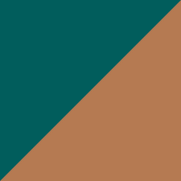 Dark Green-Caramel / Brown Gradient AR
