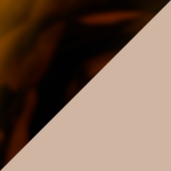 Havana-Rosegold / Green AR