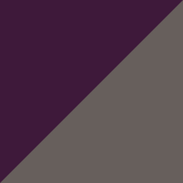Violet-Gunmetal