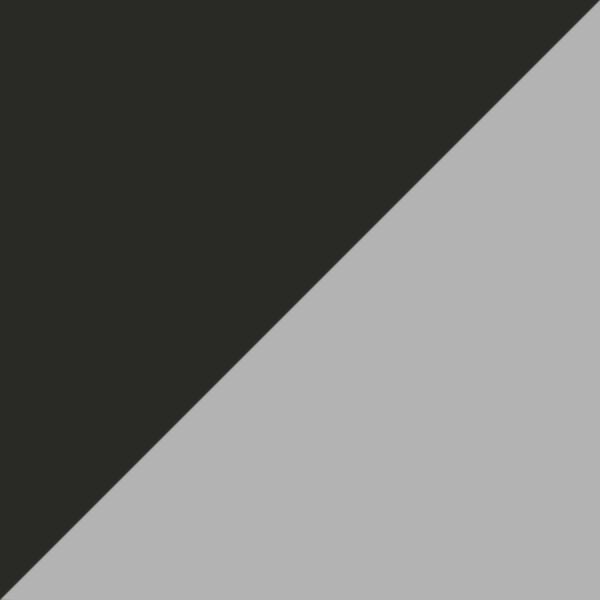 Anthracite-Silver