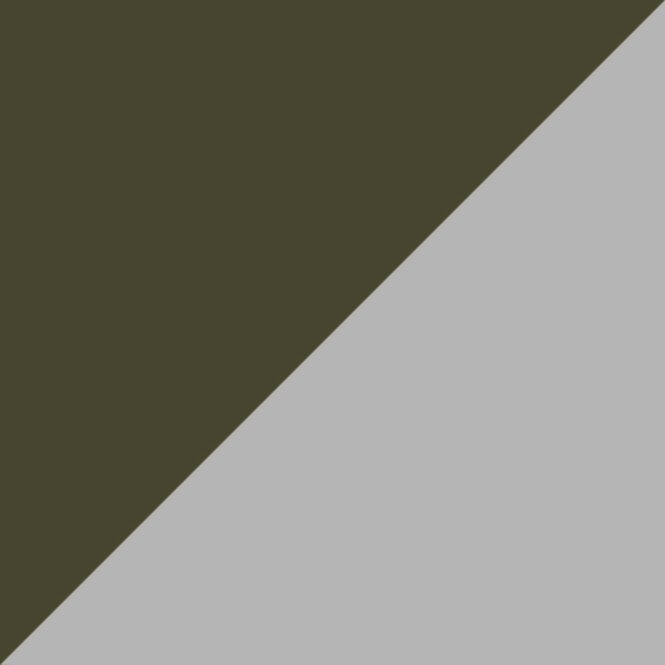 Khaki-Silver