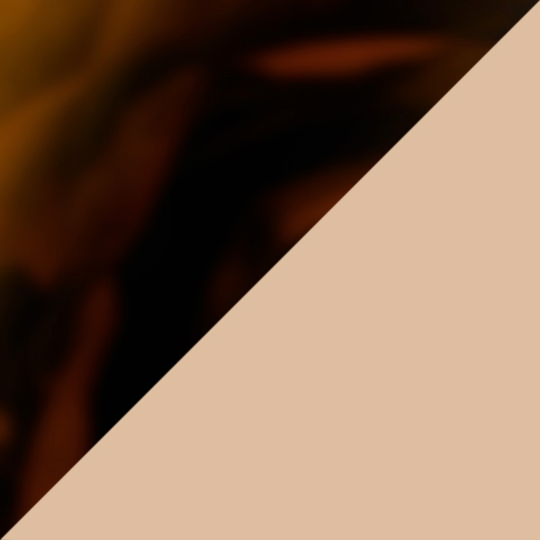 Havana-Rosegold / Brown Gradient AR