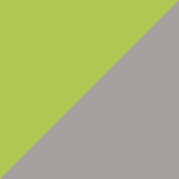 Green-Silver / Gray Gradient AR