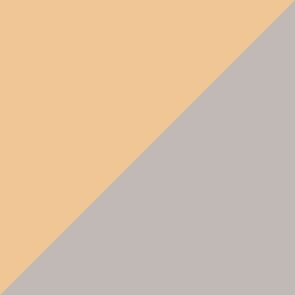 Bicolor / Gray Gradient Silver Mirrored