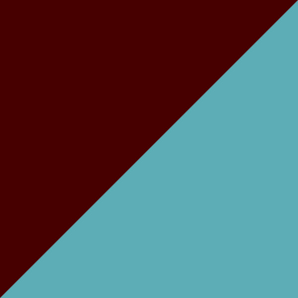 Tortoise Demi Blonde