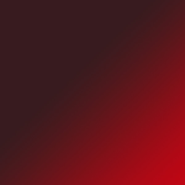 Red Transparent Tortoise