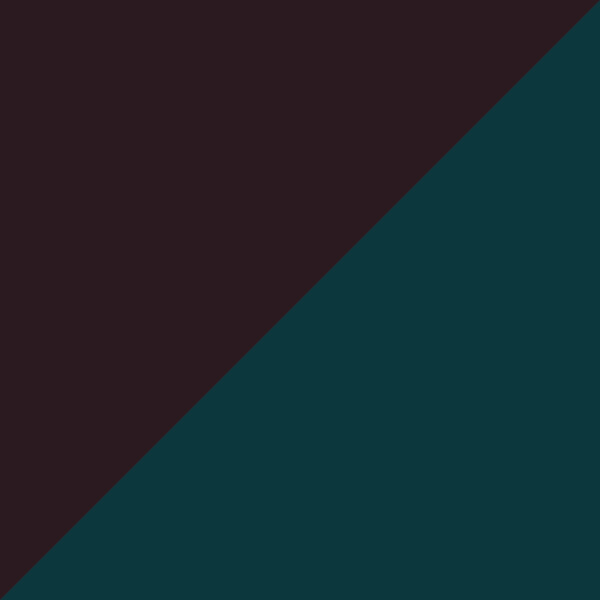 Tortoise Orange/Blue Petrol Opque