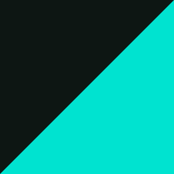 Black/Transparent Green