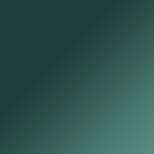 Tortoise Green Irisé