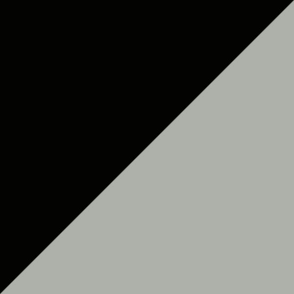 Black and White Mosaic